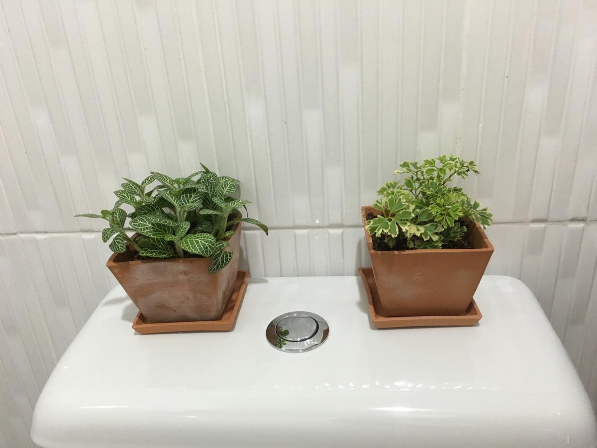Wanmai Herb Garden Bangkok Bagian luar foto